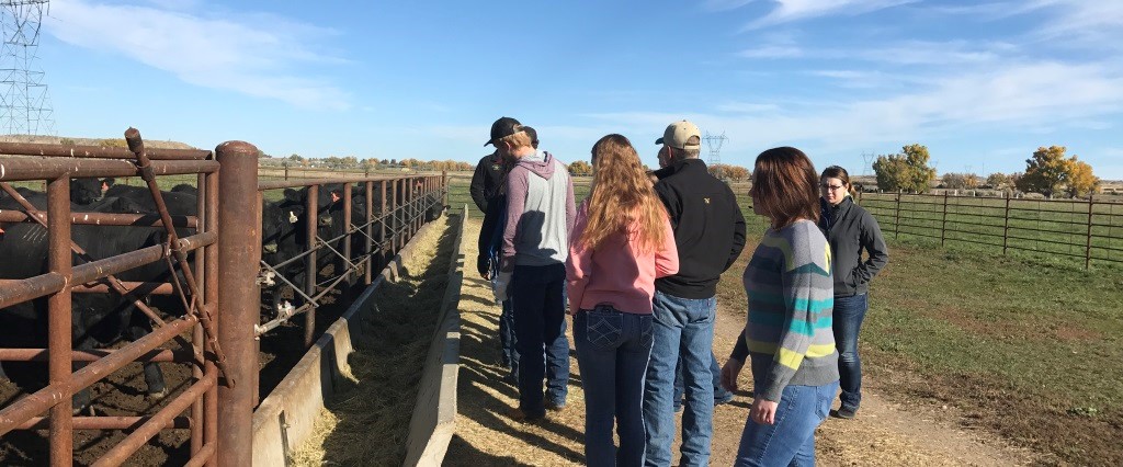 MCC Ag Students