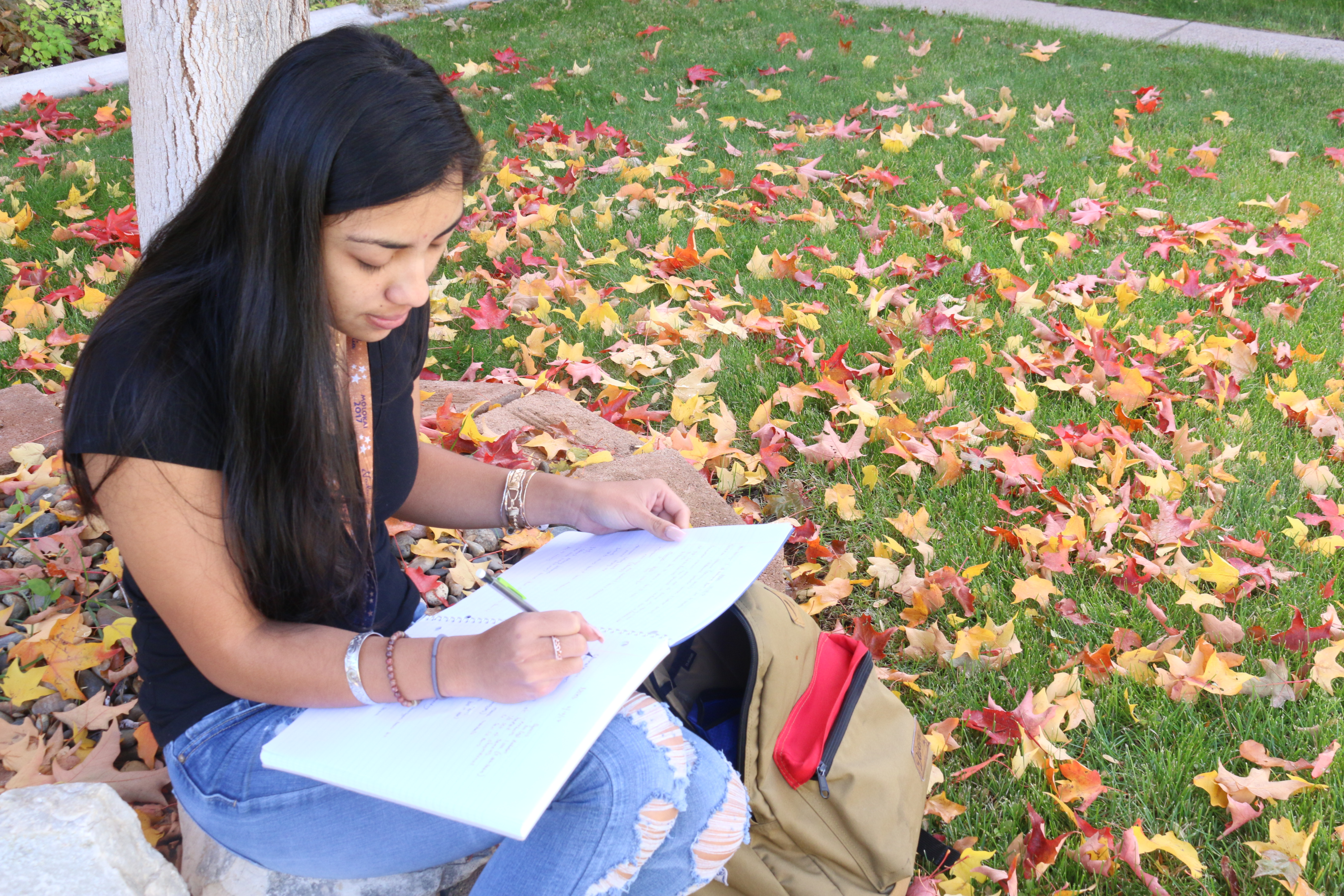  Student studying 