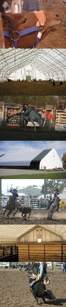 Agri Equine Complex Photos